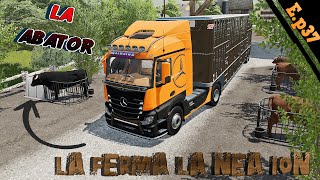 AM DUS LA ABATOR TOTI TAURII DE LA FERMA LU NEA ION 38  FS 22 [upl. by Church]