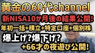 新NISA10か月後の結果公開年初一括積立特定口座個別株66才の夜遊び公開 [upl. by Osnerol814]