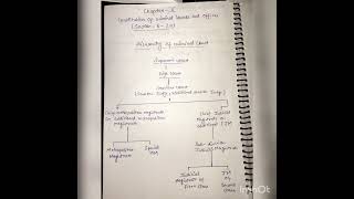 Hierarchy of criminal court  BNSS [upl. by Adnwahsar371]