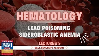 Lead poisoning Sideroblastic anemia  Hematology  9  First Aid USMLE Step 1 2023  Step 2 CK [upl. by Spillihp116]