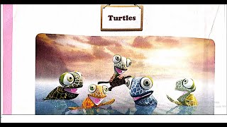 Astragen Class1st standard English TURTLES Chapter4 Rhyme  Poem [upl. by Nnylrac]