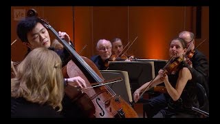 Haydn Cello Concerto no 1 in C major Hob VIIb1 [upl. by Ner537]