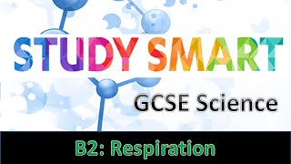 B2 Respiration EDEXCEL [upl. by Sanjay673]