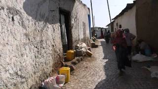 Among the Bone Eaters Encounters With Hyenas in Harar [upl. by Norre]