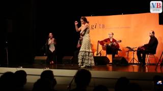 Rhythmen des Flamenco bei der Ligita [upl. by Bernete]