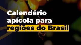 Calendário apícola para cada região do Brasil [upl. by Gypsie]