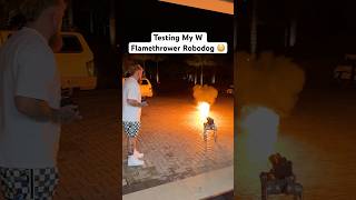 Testing My New W Flamethrower Robodog 😳 [upl. by Spaulding]