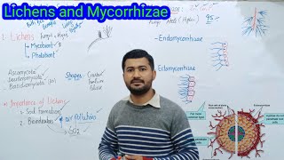 82 Lichens and Mycorrhizae  Endomycorrhizae and Ectomycorrhizae Fsc biology class 11 [upl. by Relyt]