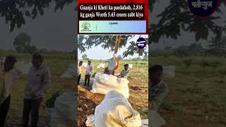 Gaanja Ki Kheti Ka Pardafash  2816 Kg Ganja Worth 563 Crores Zabt Kiya Mumbai Police ANC Bandra [upl. by Alrzc]