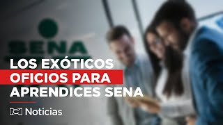 Nueva lista de empleos del SENA provoca indignación [upl. by Boykins]