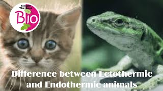 Difference between Ectothermic and Endothermic animals by Simply The Best BIO [upl. by Thorncombe130]