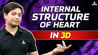 Human Heart Structure And Function  Detailed 3D Human Heart Diagram  NEET Hindi Medium [upl. by Narut]