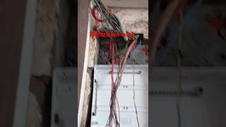 Electrician Work electrical shortvideo 220v heater animal lights heater water reface dp [upl. by Ylecic]