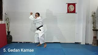 Shorinji Kempo  9 Position of Giwa Basic Tecniques 8 [upl. by Esyned126]