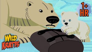 Rescuing the Polar Bear  Animals of the Cold  Adventures with The Kratts  9 Story Kids [upl. by Zandra]