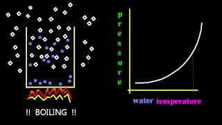 1712 Sketch a graph of vapour pressure temperature with kinetic theory IB Chemistry HL [upl. by Karla]