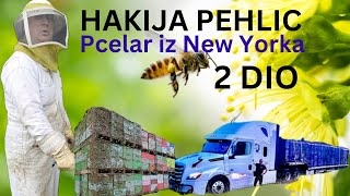 HAKIJA PEHLICPCELAR U NEW YORK DRZAVU 2 DIODRZAVA MARYLAND [upl. by Helmer]