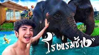 OMG🤩🤯 ”โรงแรมช้าง“ ที่ดีที่สุดในโลก🐘✨ [upl. by Neit]