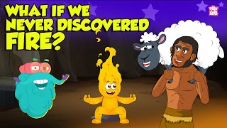 What If We Had Never Discovered Fire  How Fire Discovery Changed Humanity  The Dr Binocs Show [upl. by Eilyah]