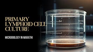 Primary lymphoid cell culture  Cell Culture Techniques  MicroBiology in Marathi [upl. by Ahsieker]