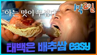 밥친구 1박2일 시즌1 58화 호동의 쌈마이웨이 밥 to the 차를 위한 8시간 대장정ㅠㅠ 태백은 배추쌈easyㅋㅋㅋ  KBS 080914 방송 [upl. by Duer210]