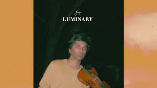 joel sunny  luminary original song  official audio [upl. by Yobybab]