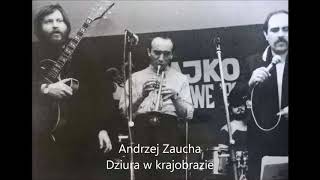 Andrzej Zaucha  Dziura w krajobrazie [upl. by Kelcy]