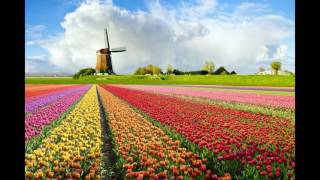 Tulpen uit Amsterdam  accordion [upl. by Arten]