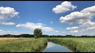 Weerbericht 18 juni Zomerse dag [upl. by Aehc]