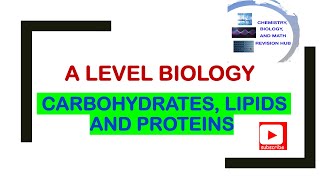 A level  biology  Edexcel  Topic 1A  carbohydrates  lipids  proteins [upl. by Bekki]