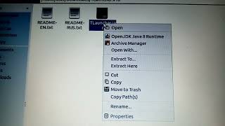 Java file not opening Linux 2024 [upl. by Lamonica436]