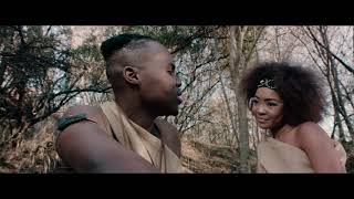 Blaq Diamond  Sthandwa Official Music Video [upl. by Gasser538]