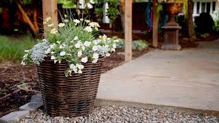 Planting a Container in Shades of White 💚🌿 Garden Answer [upl. by Egwan474]