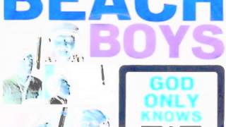 The Beach Boys  God Only Slows God Only Knows slowed [upl. by Waynant]