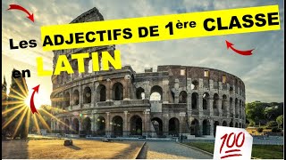 LES ADJECTIFS DE 1ère CLASSE EN LATIN TOUT COMPRENDRE [upl. by Eveam603]