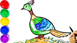 Drawing National Bird of Nepal  डाँफे  Himalayan Monal  Lophophorus  Danphe [upl. by Ossie]