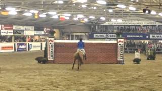 Indoor wierden 2014 [upl. by Gemmell689]