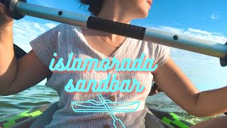 Kayaking to the Islamorada Sandbar 🌊🌴🐬 [upl. by Soigroeg]