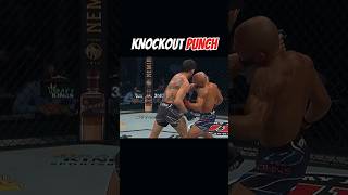 Liver Shot  Overhand knockout punch  Fit Aditya boxing america usa shortvideo boxingstyle [upl. by Clinton]