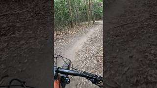 Lysterfield blare witch mountainbike mtbbikes mtb [upl. by Yzeerb633]