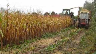 Ensilage maïs 2009 à SALLEN [upl. by Aserehtairam]