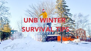 UNB Winter Survival Tips [upl. by Leur529]