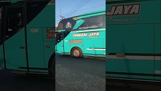 2 bus tj busmania automobile [upl. by Nirhtak]