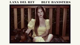 Lana Del Rey  Dealer Official Audio [upl. by Eelram]