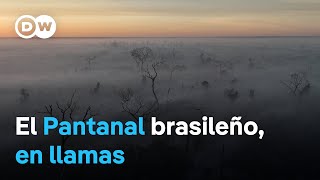 Brasil múltiples incendios asolan uno de los mayores humedales tropicales del mundo [upl. by Dot451]