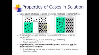 OLD VIDEO  ANES 475  Lecture 4  Part 1 [upl. by Levesque]