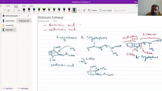 Shikimate Pathway  Biosynthesis Of Tryptophan KirtiPatelChemistry [upl. by Cirle]