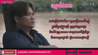 ស្នេហ៍ឯការ​  ព្រាប សុវត្តិ Lyric Video [upl. by Aeriell600]