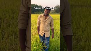 Ee Sundara Beladingala Cover song youtubeshorts spb kannadamelody melodysongs trending [upl. by Carmelle]