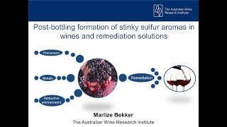 The formation and remediation of stinky sulfur aromas in wines [upl. by Tabbi]